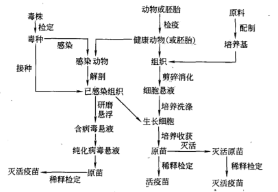 藥廠(chǎng)設計