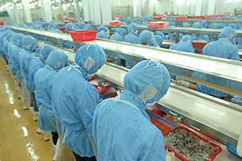 食品工廠(chǎng)車(chē)間排水溝設計