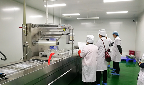 成都新洪友食品有限公司廠(chǎng)房裝修工程案例