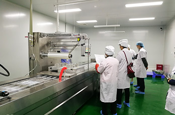 食品工廠(chǎng)設計之氣力輸送的速度