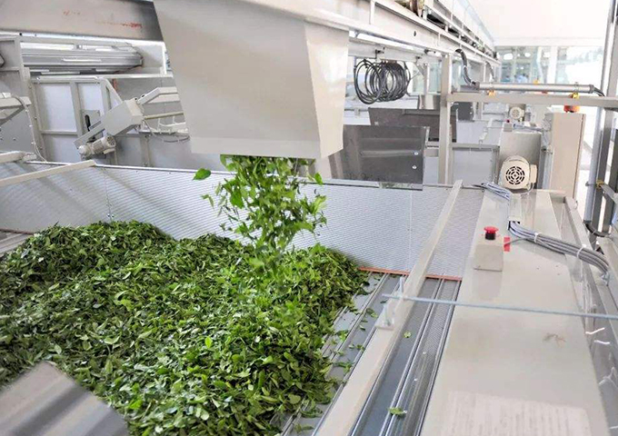 貴州芳緣茗品農業(yè)科技集團有限公司