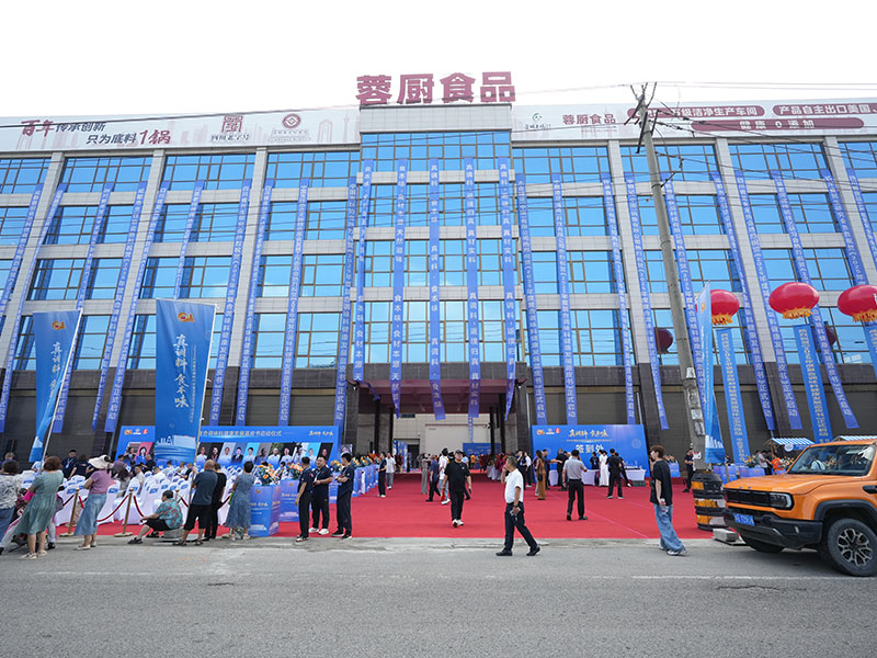 蓉城老媽調味品項目